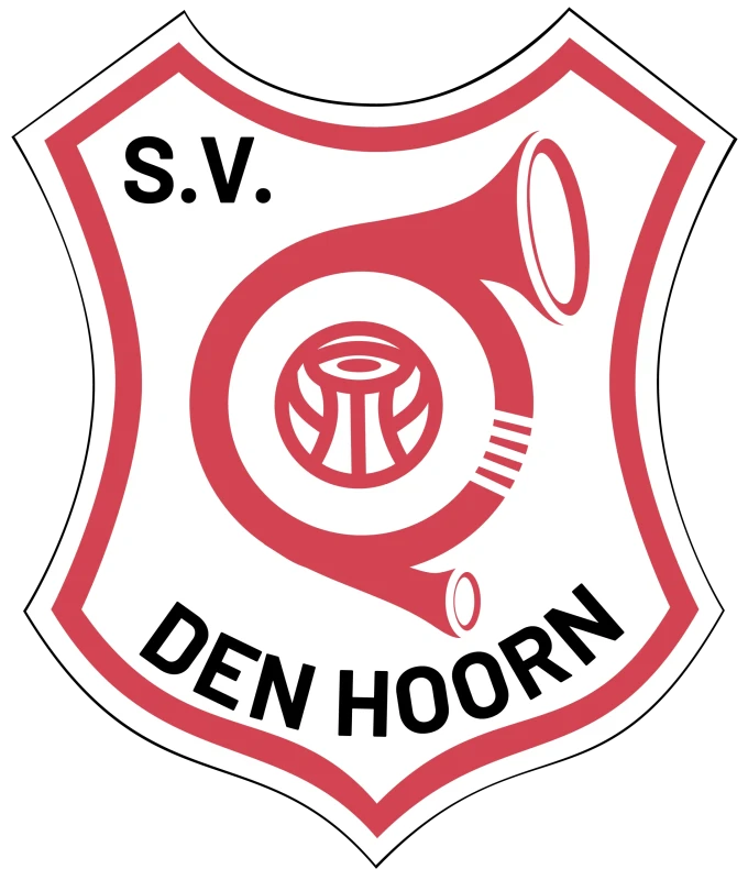 videoregistratie_svdh-scaled.webp